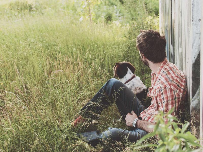 波普艺术<br>qyh4jna.cn 安迪沃霍尔罐头